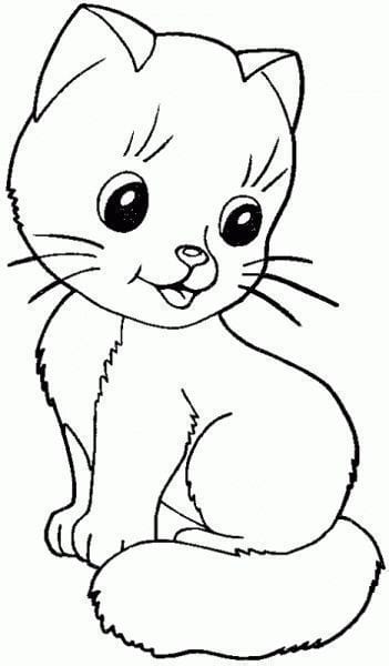 Sketsa Gambar Hewan dan Tumbuhan