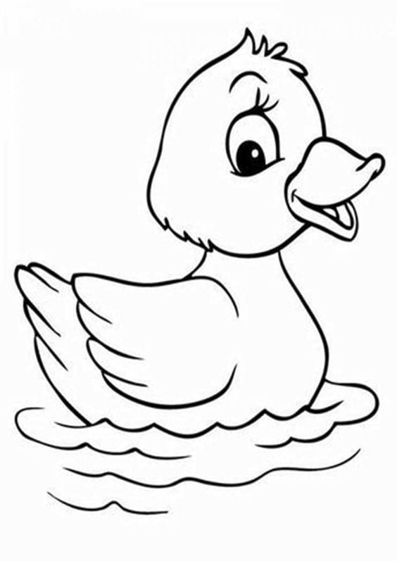 Sketsa Gambar Hewan dan Tumbuhan