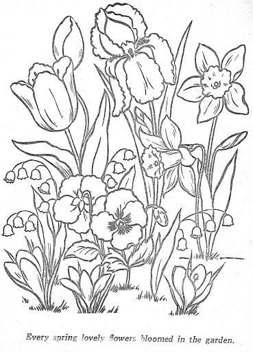 Sketsa Gambar Hewan dan Tumbuhan