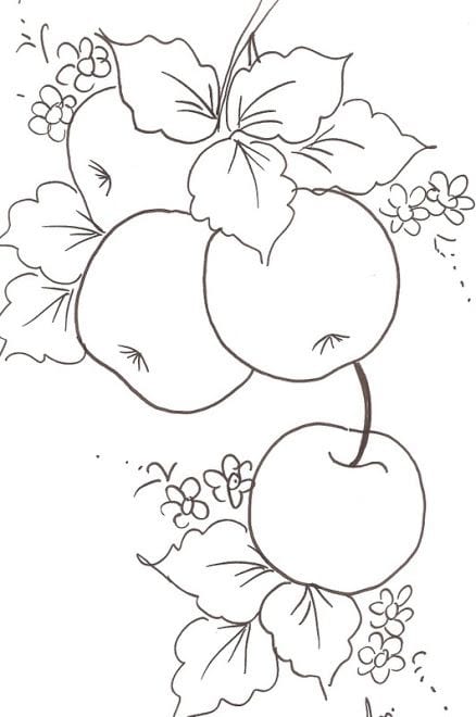 Sketsa Gambar Hewan dan Tumbuhan