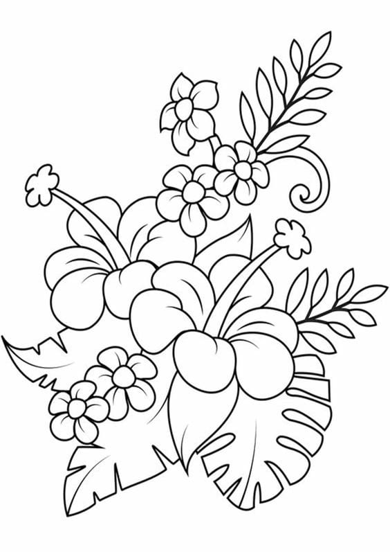 Sketsa Gambar Hewan dan Tumbuhan