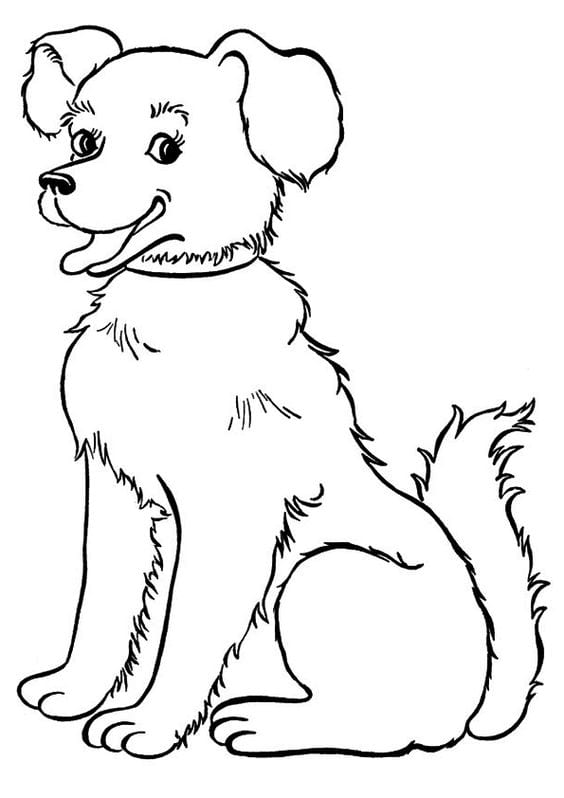 Sketsa Gambar Hewan dan Tumbuhan