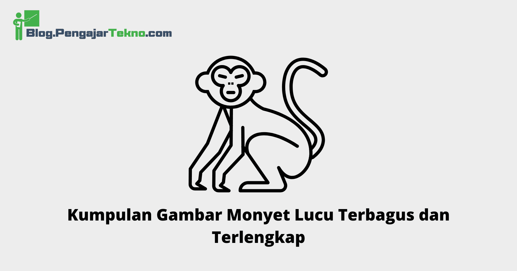 Gambar Monyet Lucu