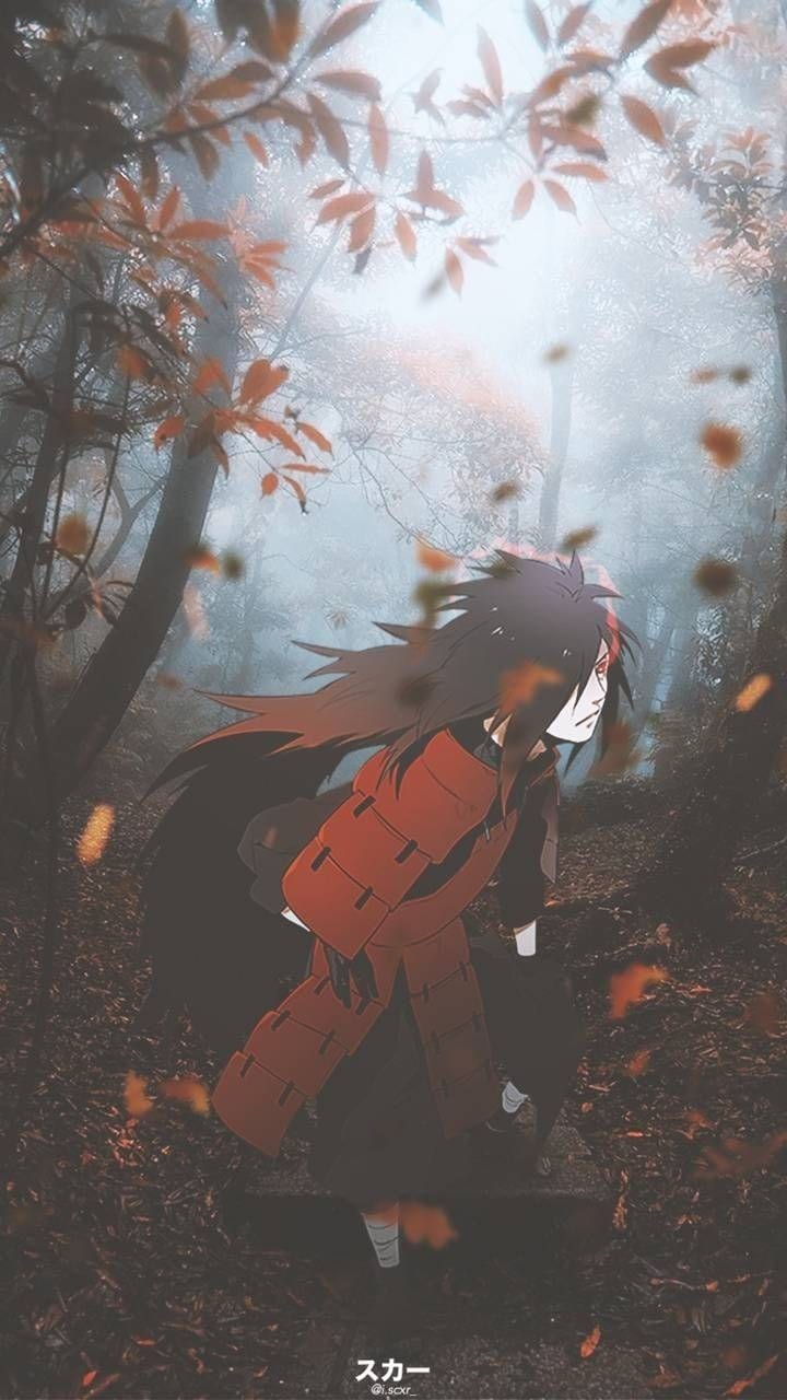 Foto Madara