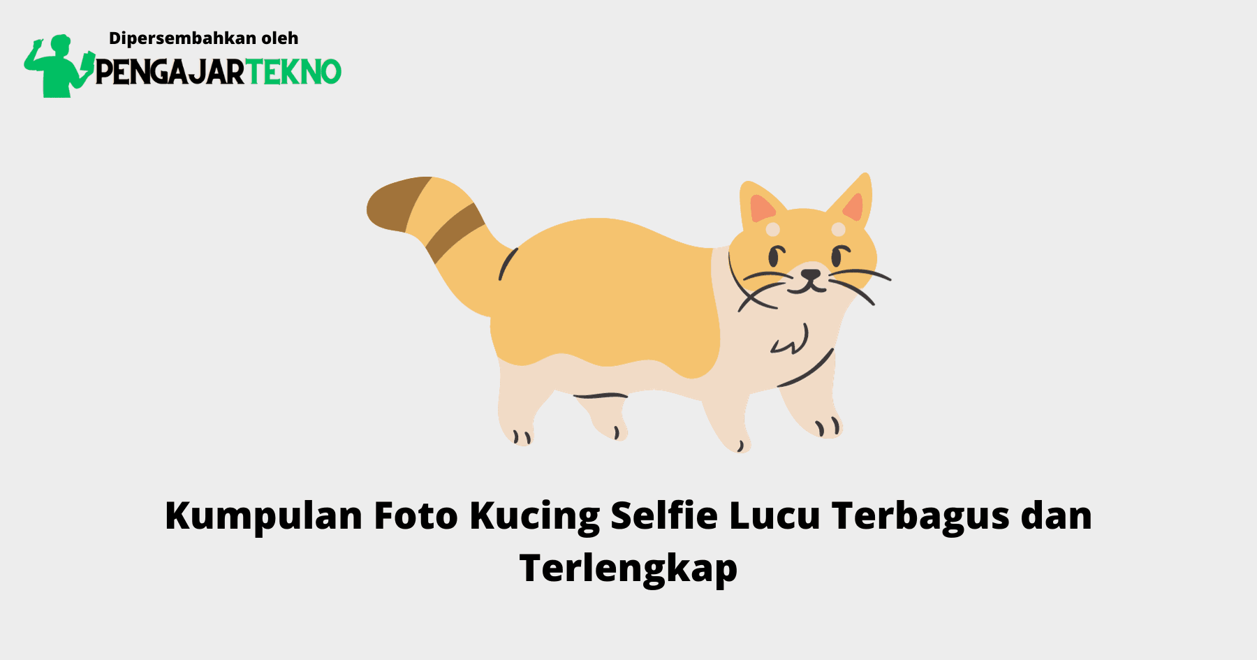 Foto Kucing Selfie