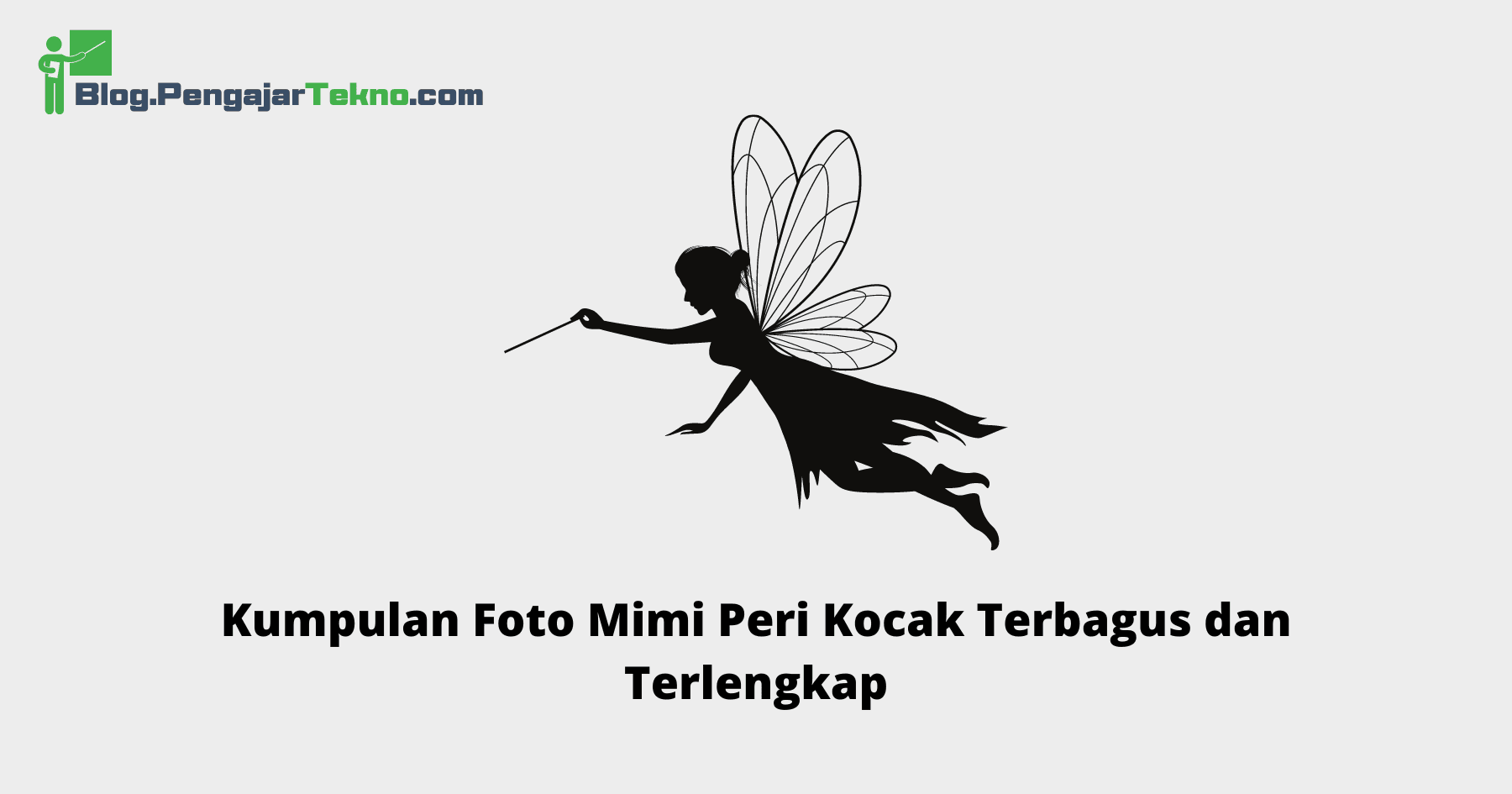 Foto Mimi Peri