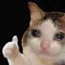 Foto Kucing Meme