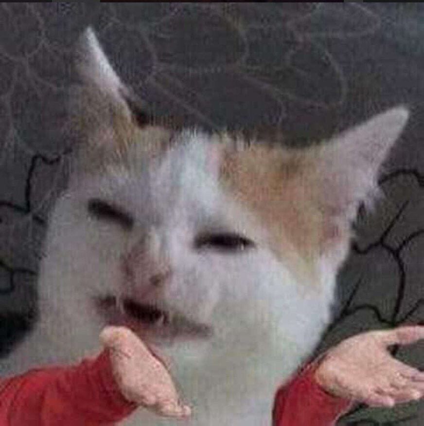 Foto Kucing Meme