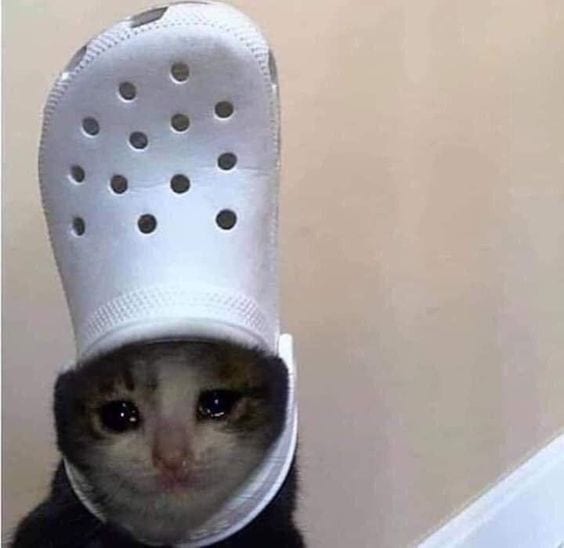 Foto Kucing Meme