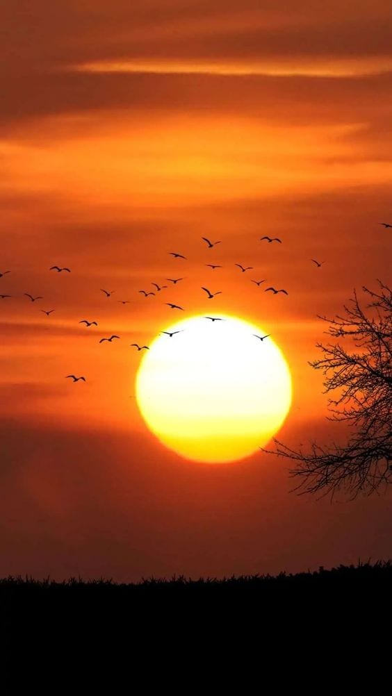 Foto Sunset