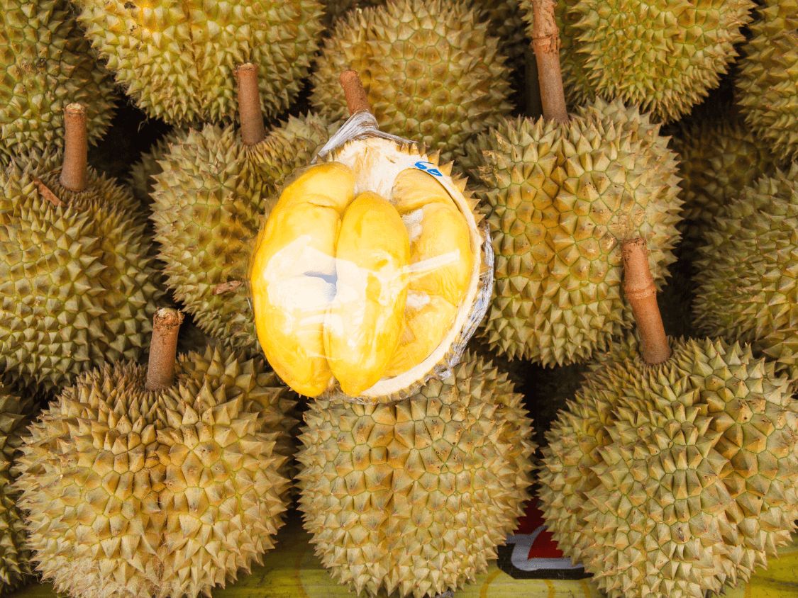 Foto Durian