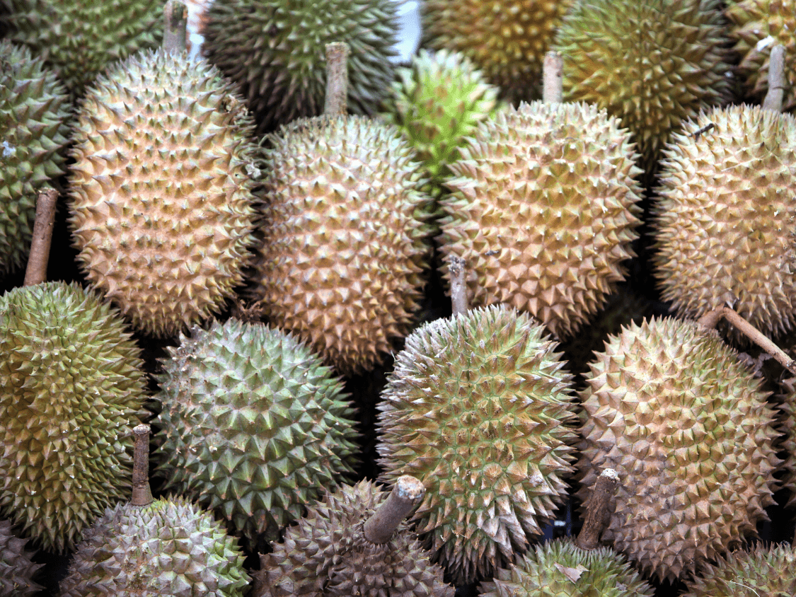 Foto Durian