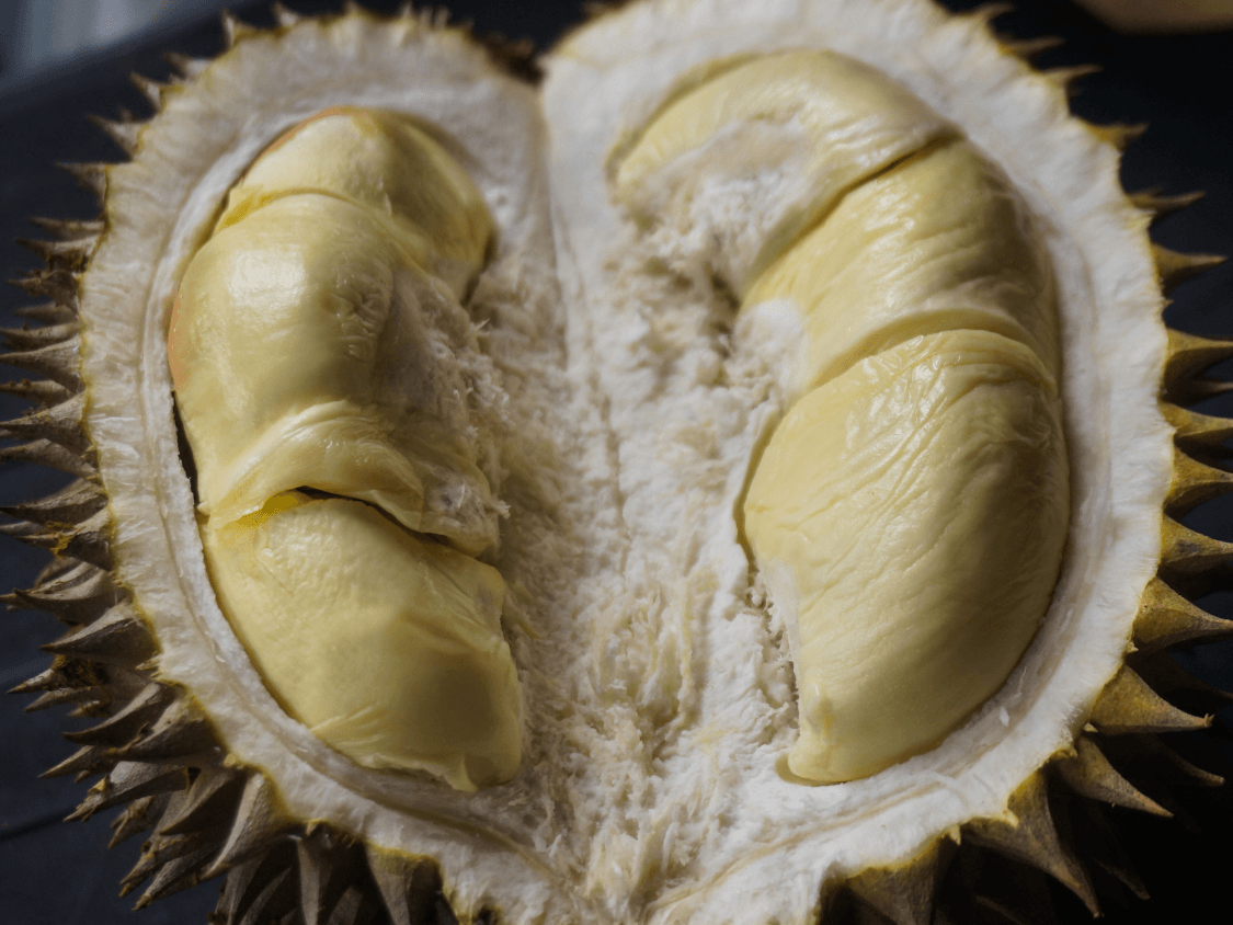 Foto Durian
