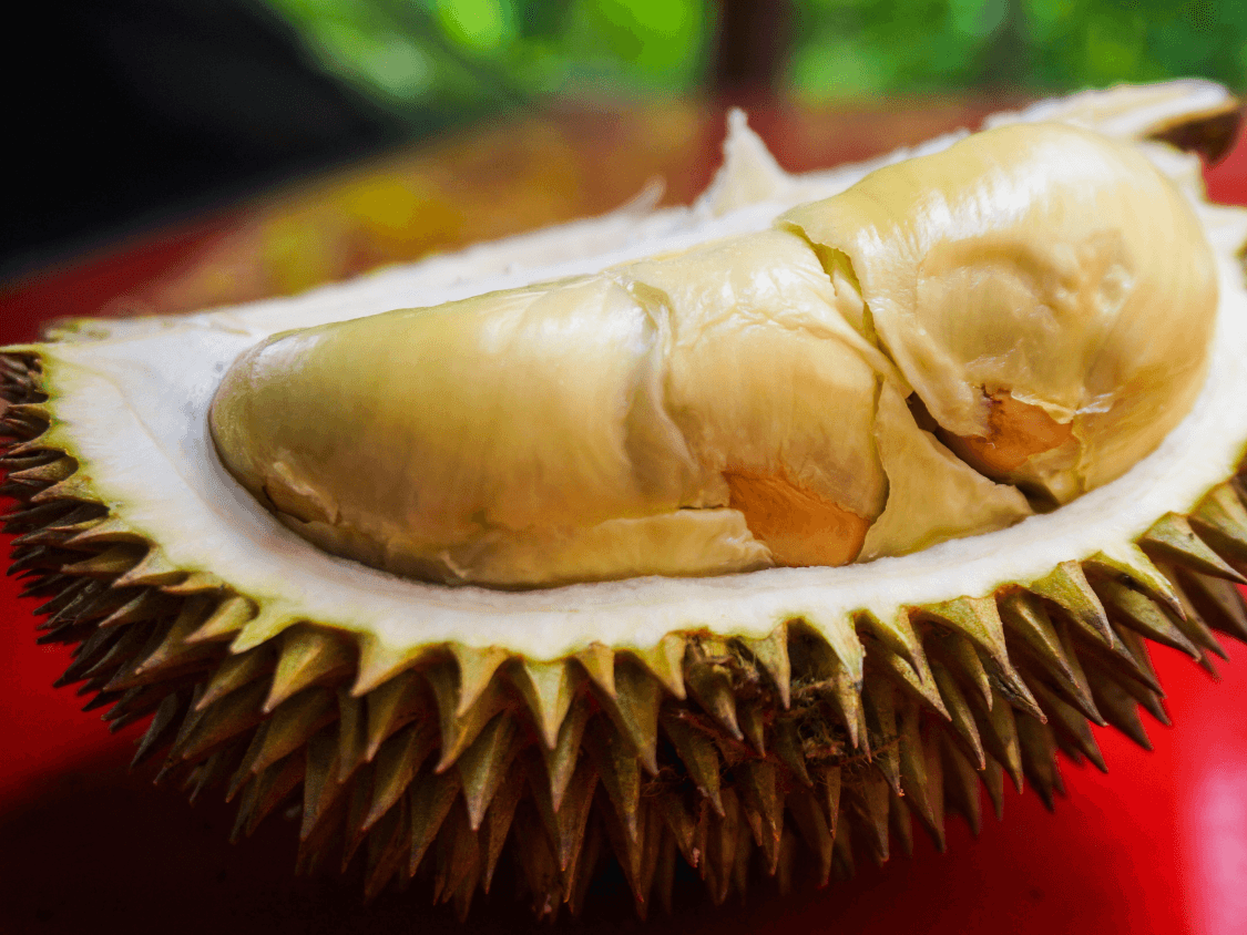 Foto Durian