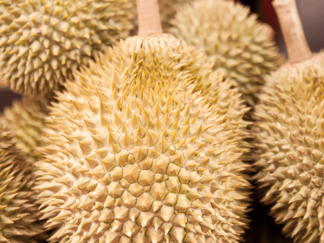 Foto Durian