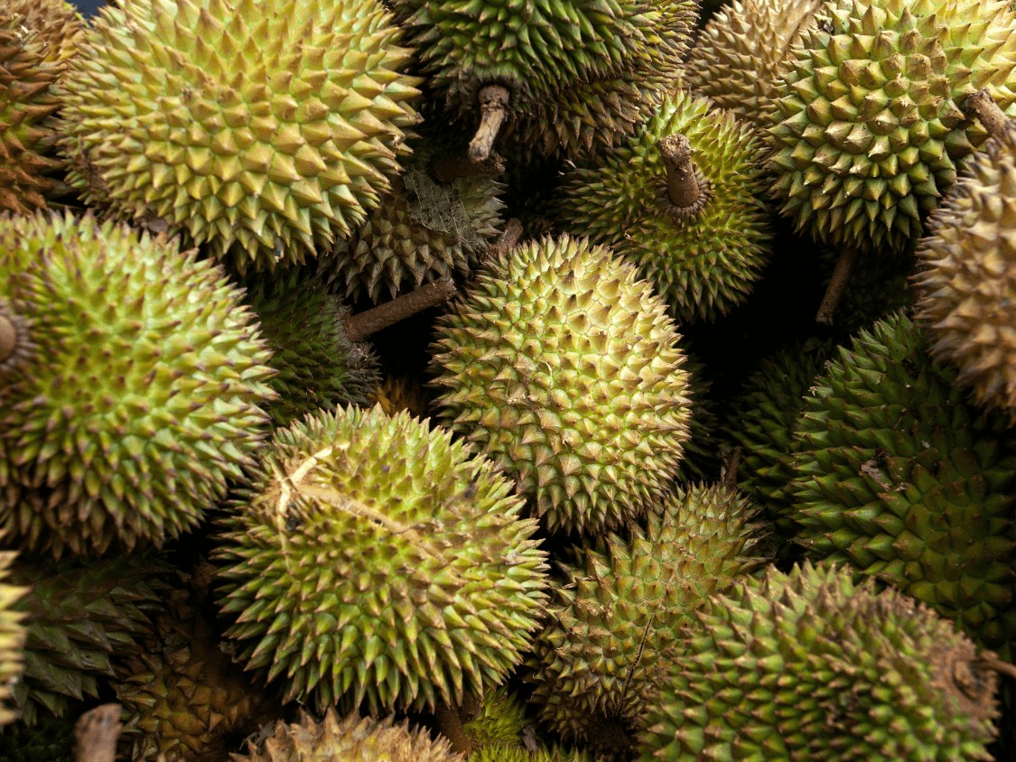 Foto Durian