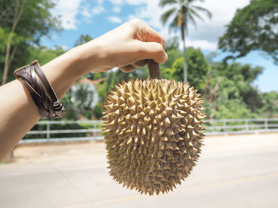 Foto Durian
