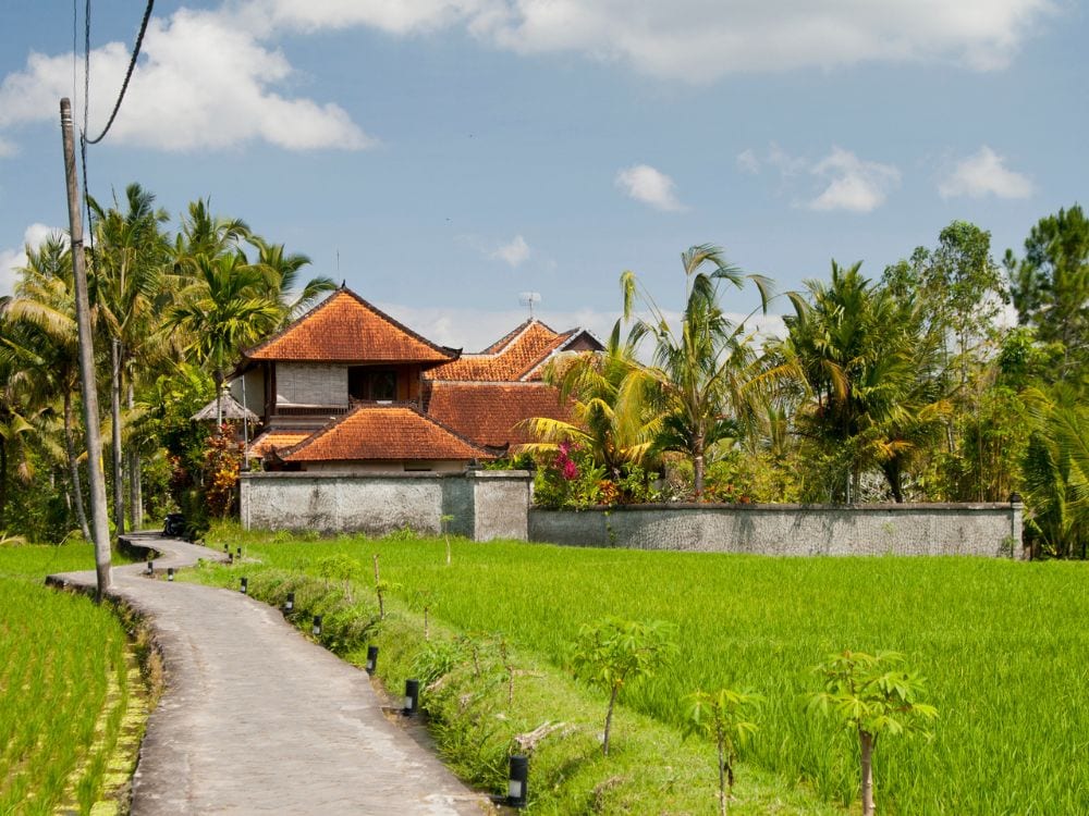 Foto Sawah